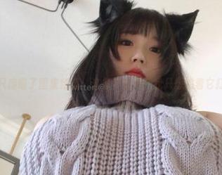 是一只废喵了图集精选：这冬の太阳，我只想追着它打滚！