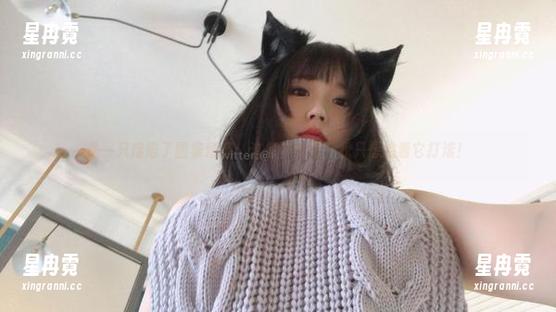 是一只废喵了图集精选：这冬の太阳，我只想追着它打滚！