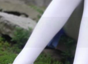 教室小偷：西尔酱的写真让人不忍移开目光