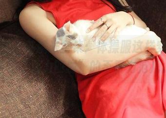 青豆客 – 苏糯米全集：体操服这样穿，简直是“活力四射”的不费力范儿。